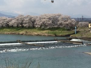 花より団子