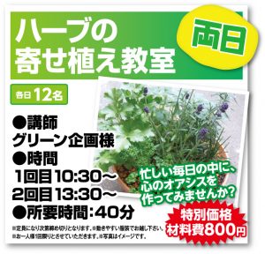 寄せ植え