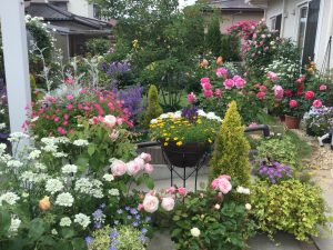 花園