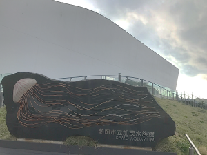 クラゲと足湯