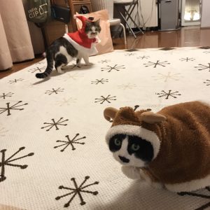 サンタさんとトナカイさん。