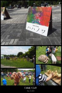 お久しぶりの登場☆