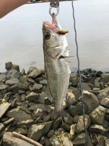 釣りキチ秋山