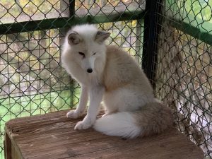 動物好きの楽園！