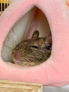 出会いの季節