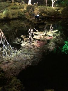 初めまして！！磯上です。
