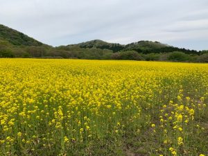 IMG_3742