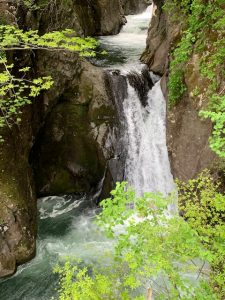 IMG_3755