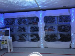 IMG_2579