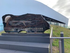 クラゲの水族館