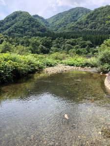 IMG_0826
