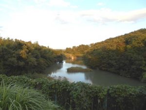 kamogawa
