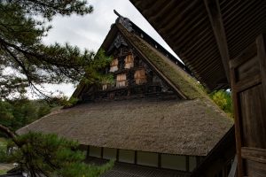 IMG_4866