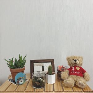 アボガド④