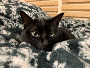 IMG_1818