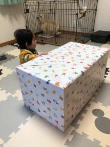 プレゼント
