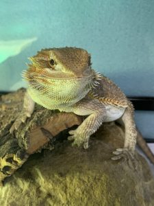 写真 2020-06-16 13 15 44