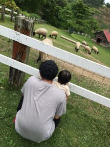 親子写真