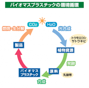 バイオマス